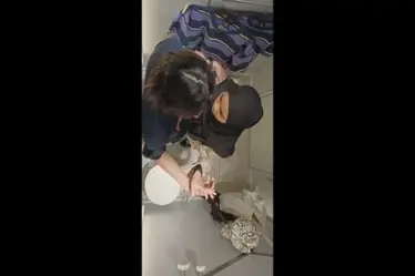 Skandal Cewek Sange Ngewe Sambil Nangis Menikmati